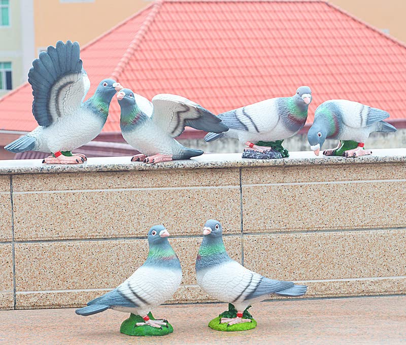 Amazon.co.jp: 鳥の置物 鳩 置物 動物オブジェ ハトの像 小さい